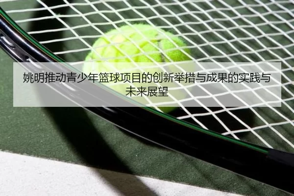 姚明推动青少年篮球项目的创新举措与成果的实践与未来展望